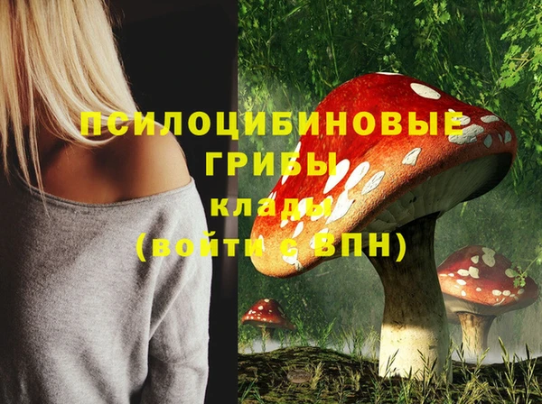 шишки Белокуриха