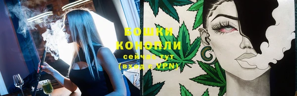 шишки Белокуриха