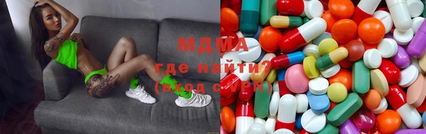 шишки Белокуриха