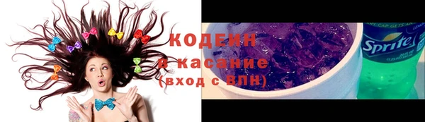 шишки Белокуриха