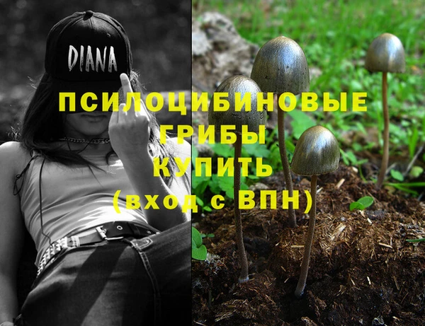 метадон Балахна