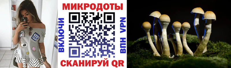 Галлюциногенные грибы Cubensis  продажа наркотиков  Невель 